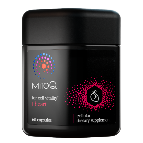 MitoQ Hart - Mitoquinol Mesylaat